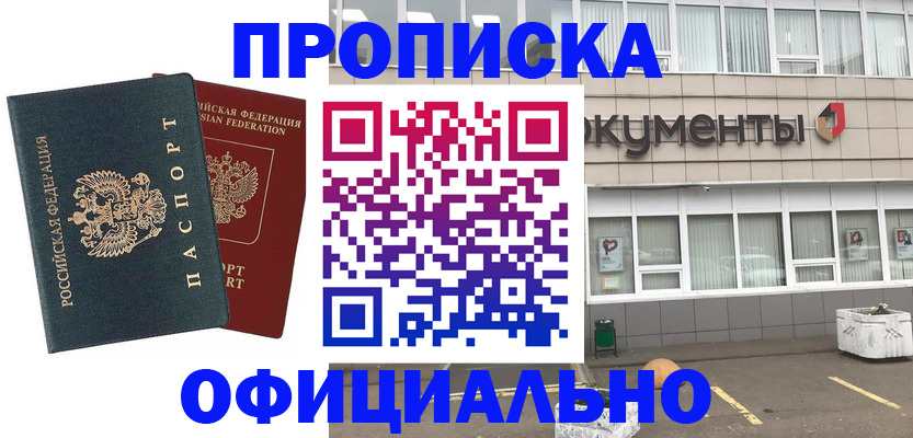 прописка поиск в Сальске